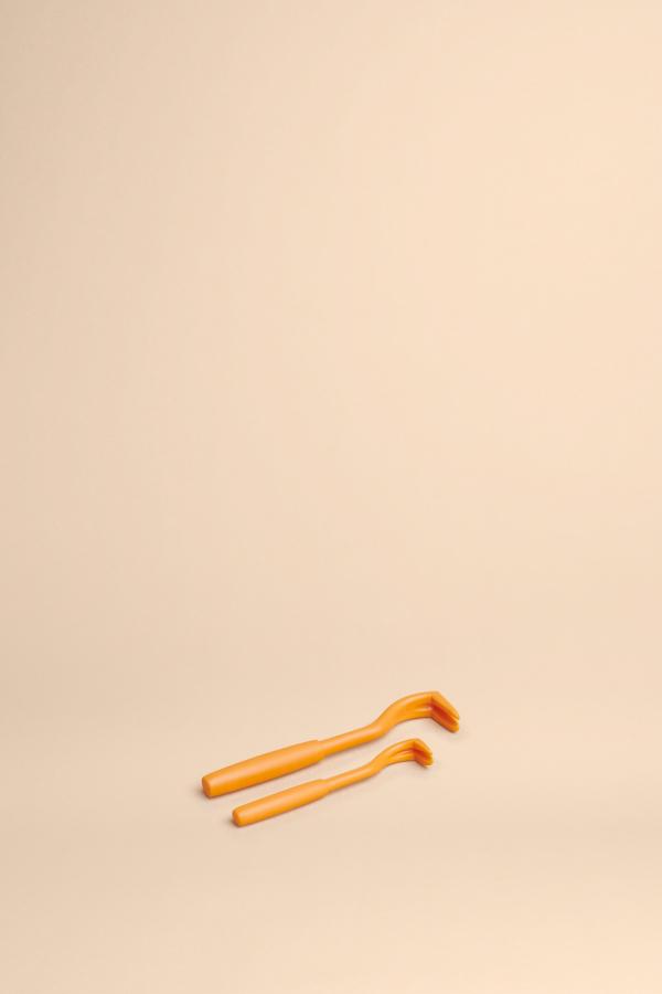 Enlève tiques en deux tailles