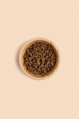 Croquettes au saumon